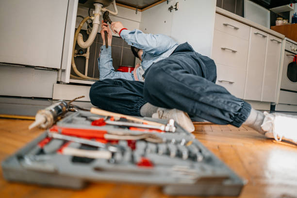 Best Plumbing Inspection Services  in Cold Spring, MN