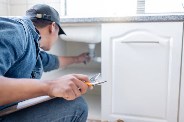 Best Toilet Repair Services  in Cold Spring, MN