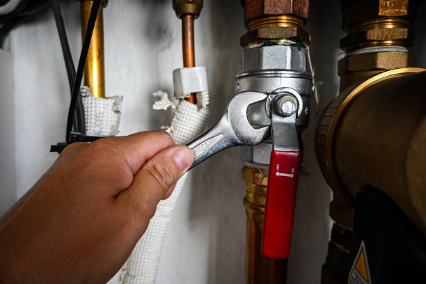 Best Clogged Drain Plumber  in Cold Spring, MN
